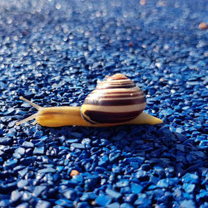 Meet your Posher, Anatolii